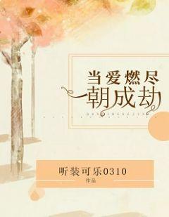 当爱燃尽,一朝成劫