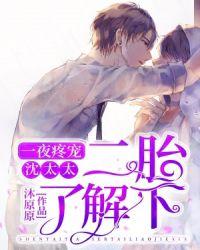 一夜疼宠:沈太太,二胎了解下