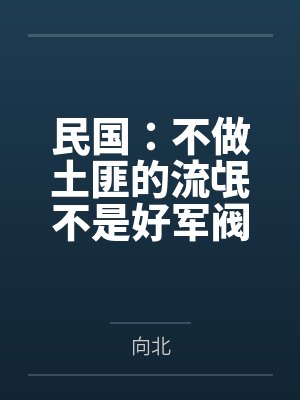 民国:不做土匪的流氓不是好军阀 民国:不做土匪的流氓不是好军阀