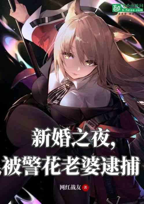 新婚之夜,被警花老婆逮捕