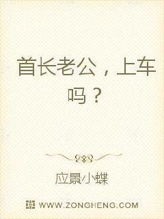 首长老公,上车吗?
