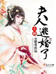 上神,夫人逃婚了!