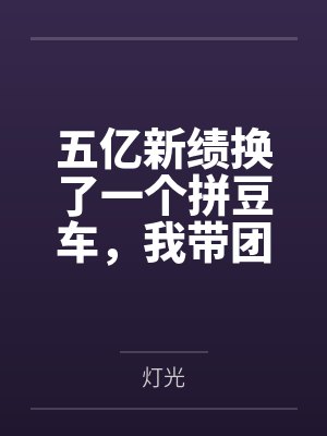 五亿新绩换了一个拼豆车，我带团离职后她悔了
