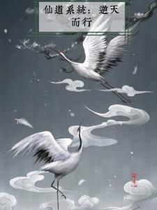 仙道系统:逆天而行