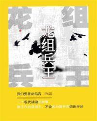 龙组兵王