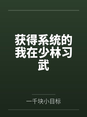 获得系统的我在少林习武 获得系统的我在少林习武