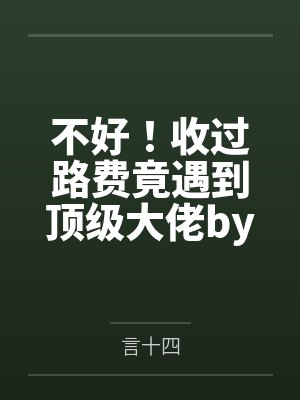 不好！收过路费竟遇到顶级大佬by言十四